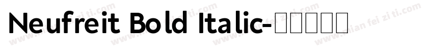 Neufreit Bold Italic字体转换